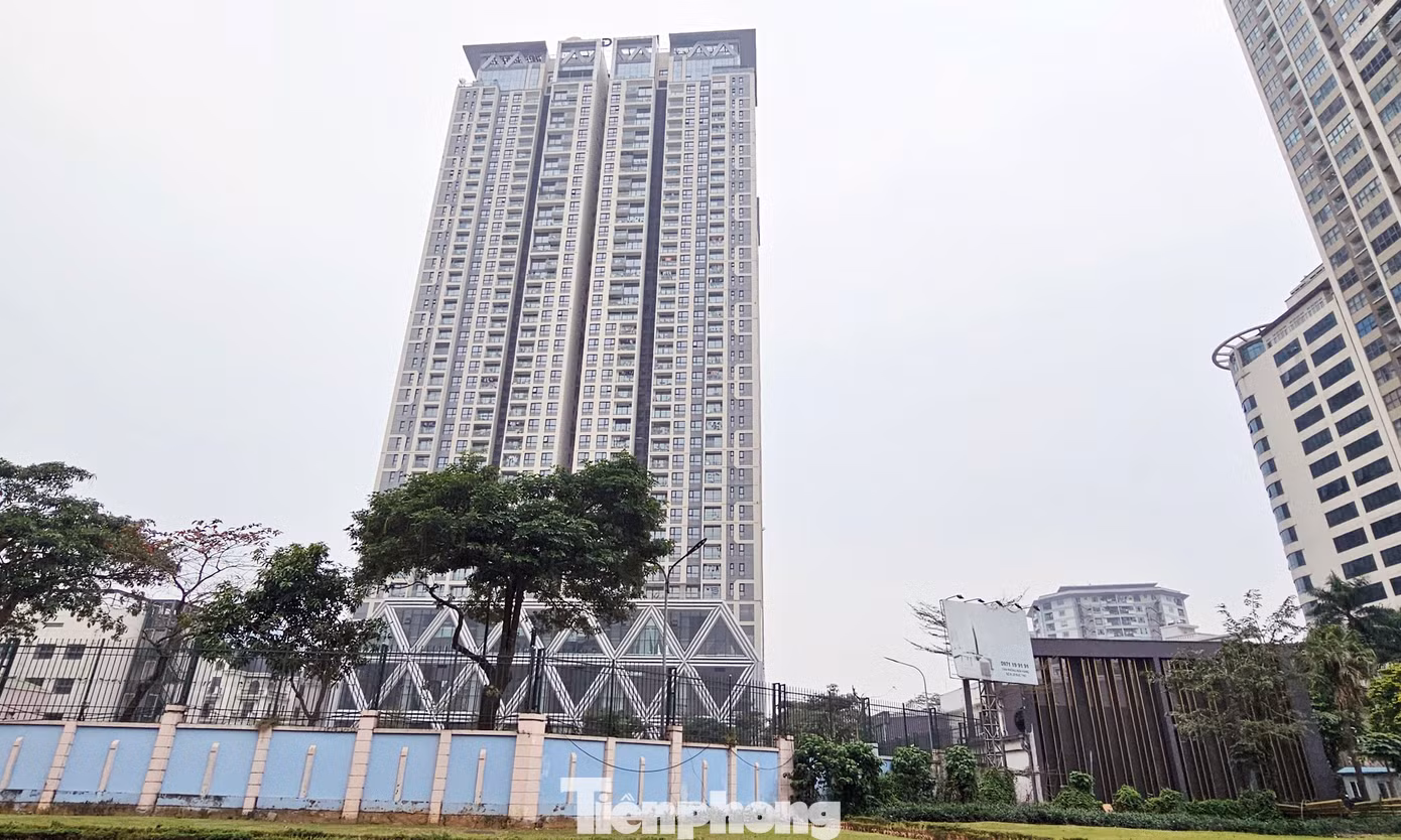 Giá bán chung cư sơ cấp trung bình tại Hà Nội hiện đạt mức 56 triệu đồng/m2.