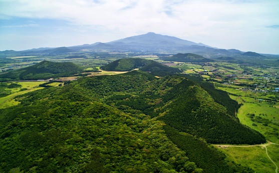 Đảo Jeju, Hàn Quốc. (Ảnh: Korea Joongang)