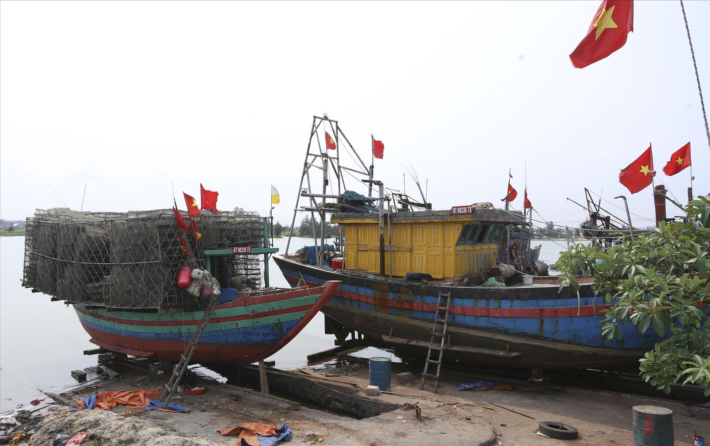 Tàu cá chưa đăng kiểm dài từ 6-12m, đánh bắt gần bờ