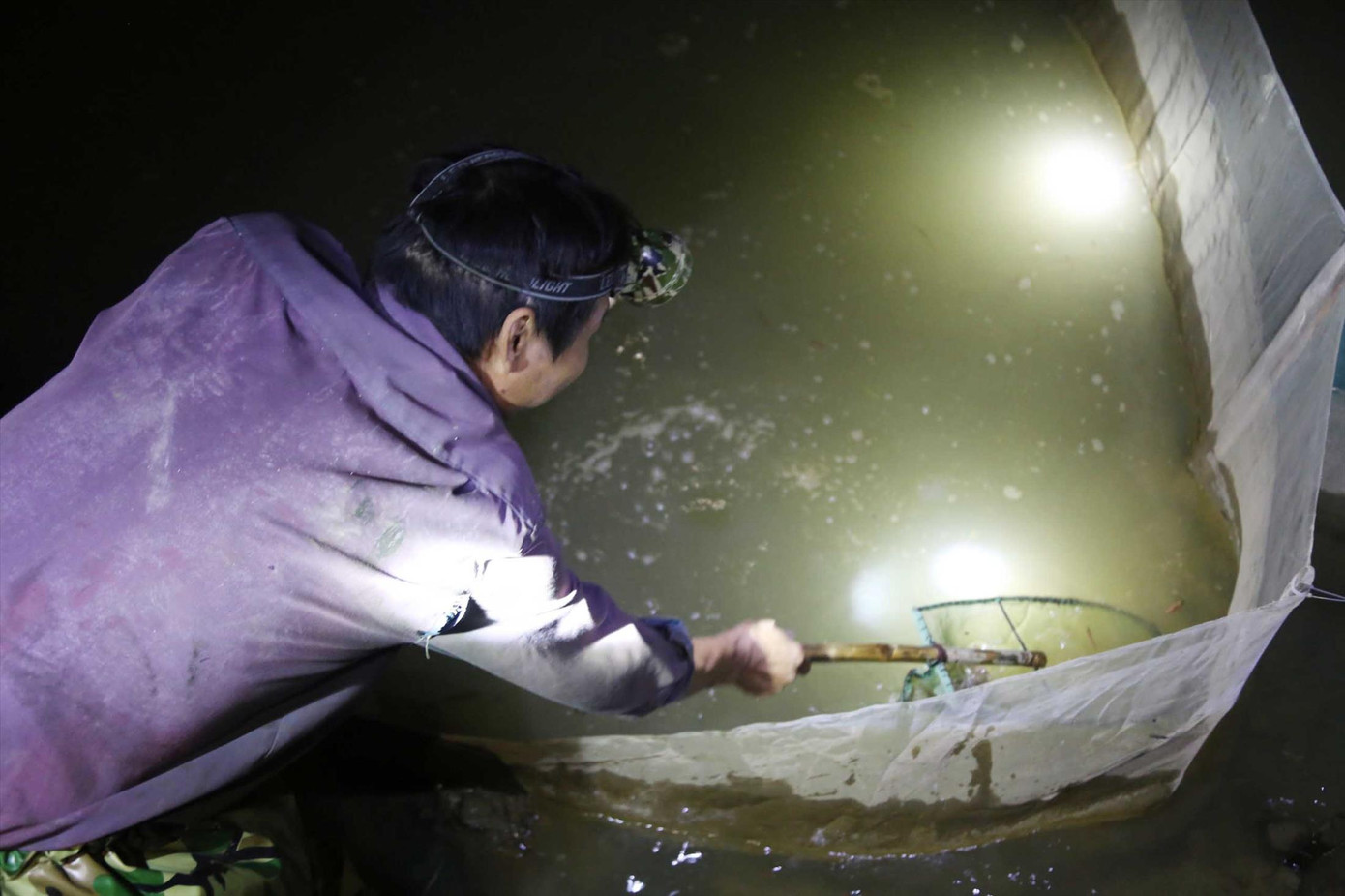 Người dân dầm mình trong nước lạnh để vớt rươi