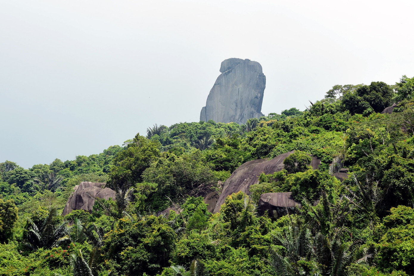 Tương truyền phiến đá trên núi Đá Bia gắn với việc Vua Lê Thánh Tông phân định cương thổ đất nước. Ảnh: Như Ý Tương truyền phiến đá trên núi Đá Bia gắn với việc Vua Lê Thánh Tông phân định cương thổ đất nước. Ảnh: Như Ý