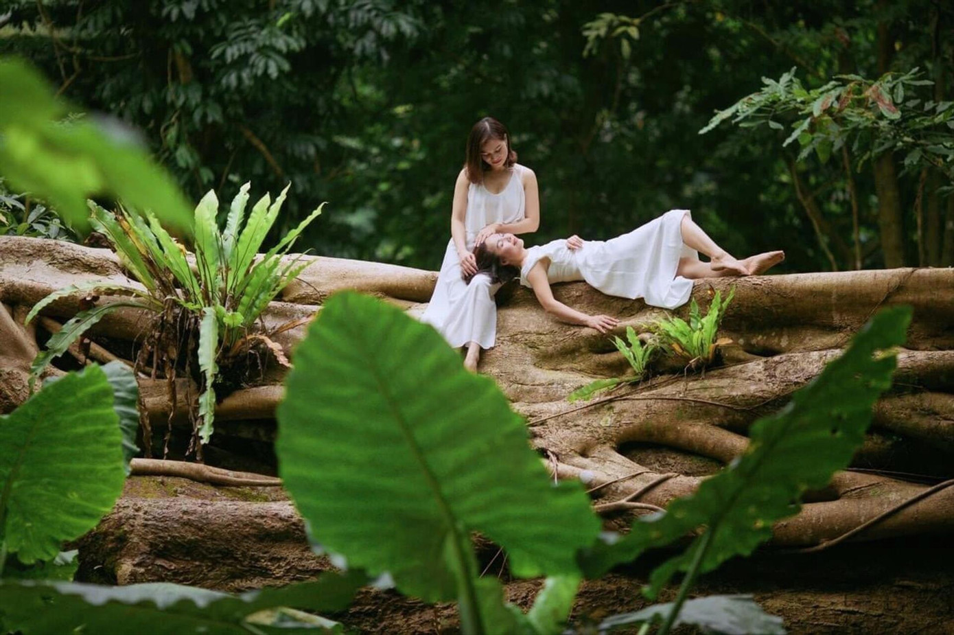 Du lịch kết hợp yoga là một trong những lựa chọn hữu ích cho quá trình chữa lành.