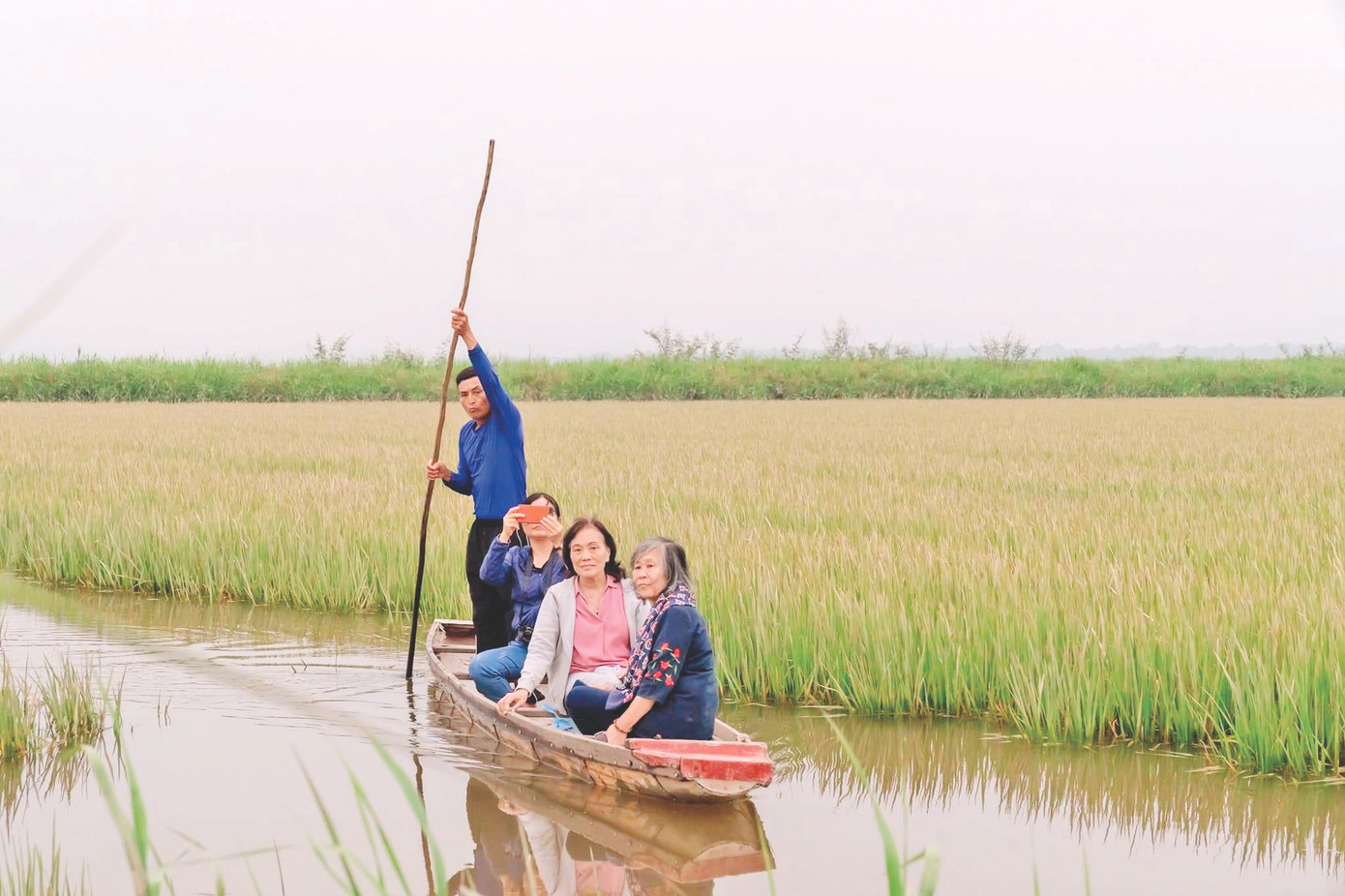 Con cháu Đại tướng Võ Nguyên Giáp trong 1 lần đến thăm vườn chim của vợ chồng ông Xuân Con cháu Đại tướng Võ Nguyên Giáp trong 1 lần đến thăm vườn chim của vợ chồng ông Xuân