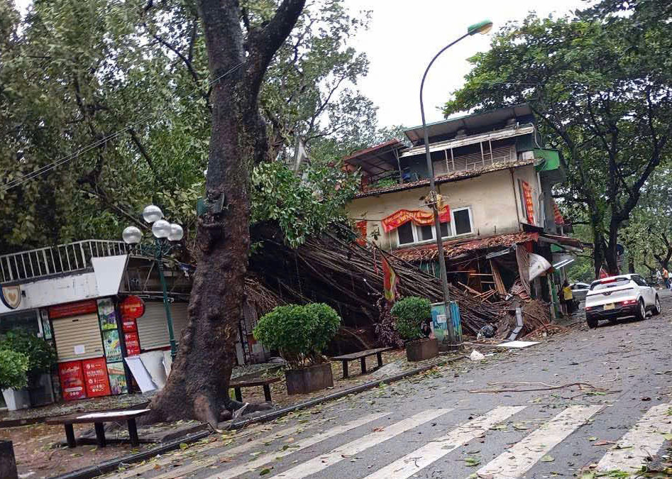 Tư thế đau đớn của cụ đa.