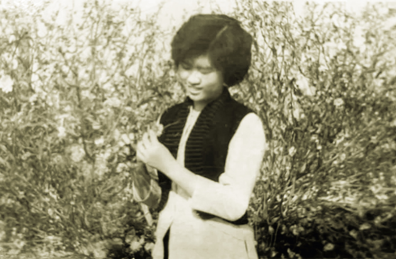 Mẹ tôi chụp tại vườn đào Nhật Tân (Tết 1963)