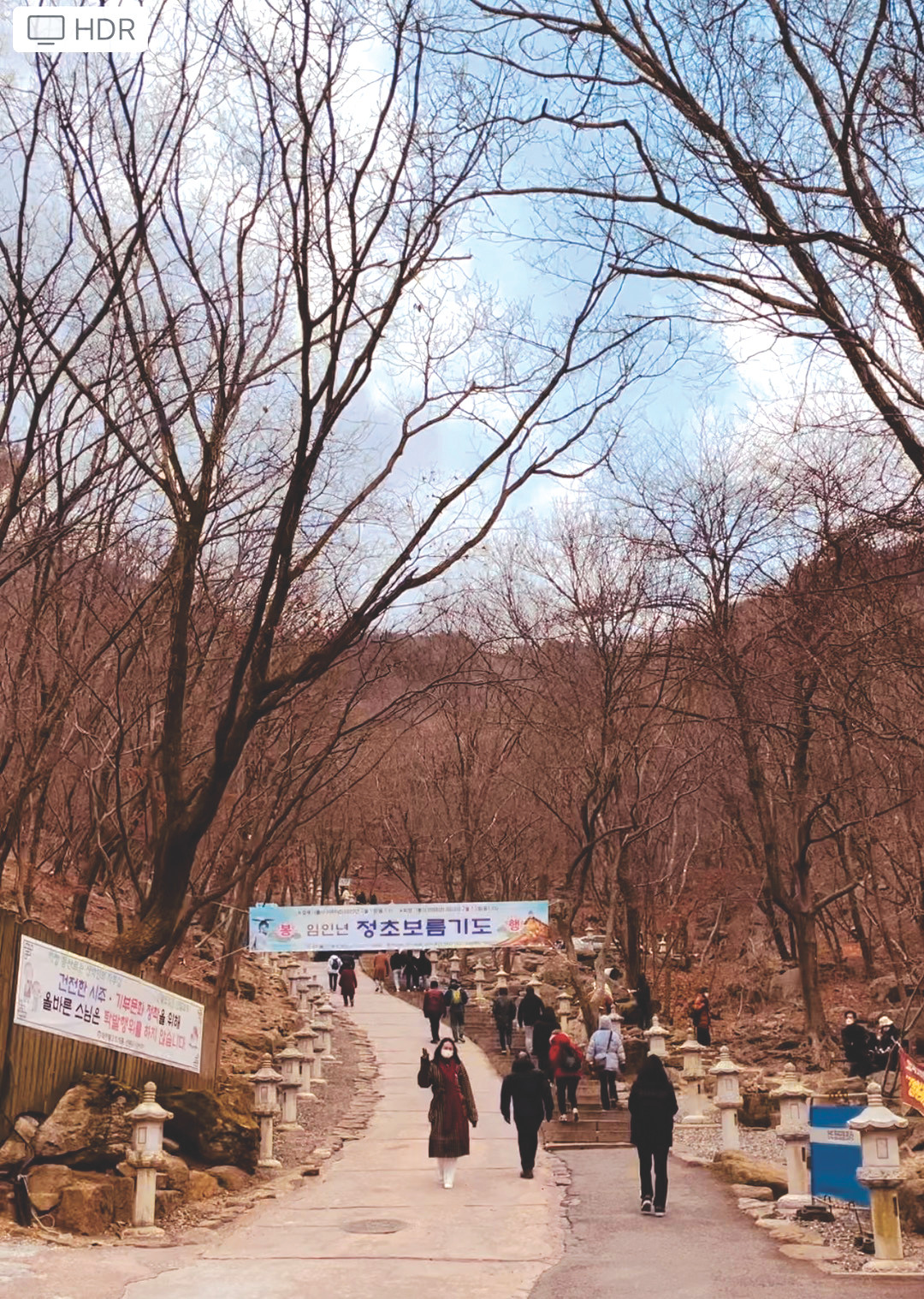 Đặc trưng của mùa đông Hàn Quốc là những rừng cây khẳng khiu, trụi lá vươn cao Đặc trưng của mùa đông Hàn Quốc là những rừng cây khẳng khiu, trụi lá vươn cao