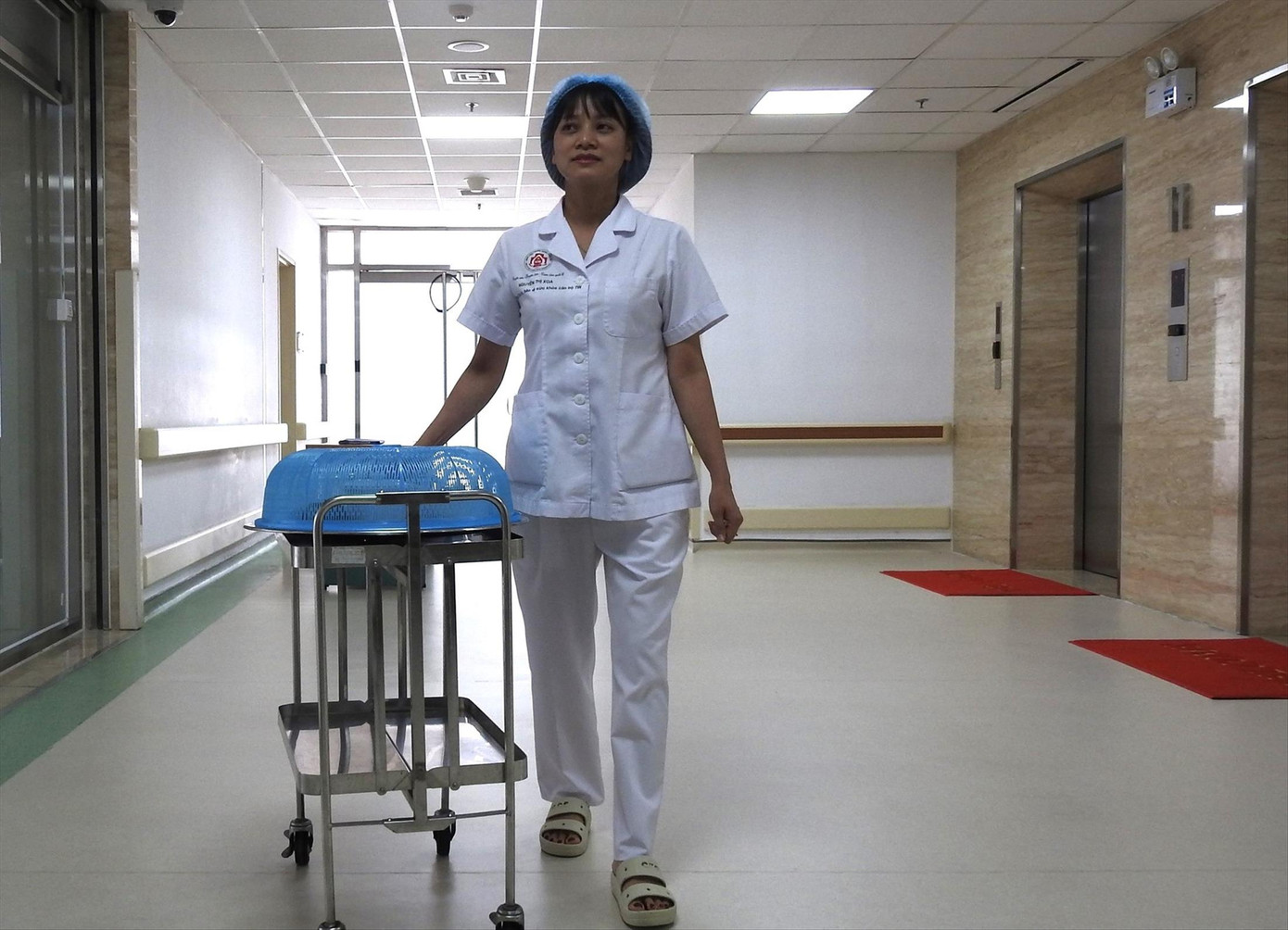 Điều dưỡng Nguyễn Thị Xoa nấu ăn cho Tổng Bí thư Nguyễn Phú Trọng. Điều dưỡng Nguyễn Thị Xoa nấu ăn cho Tổng Bí thư Nguyễn Phú Trọng.