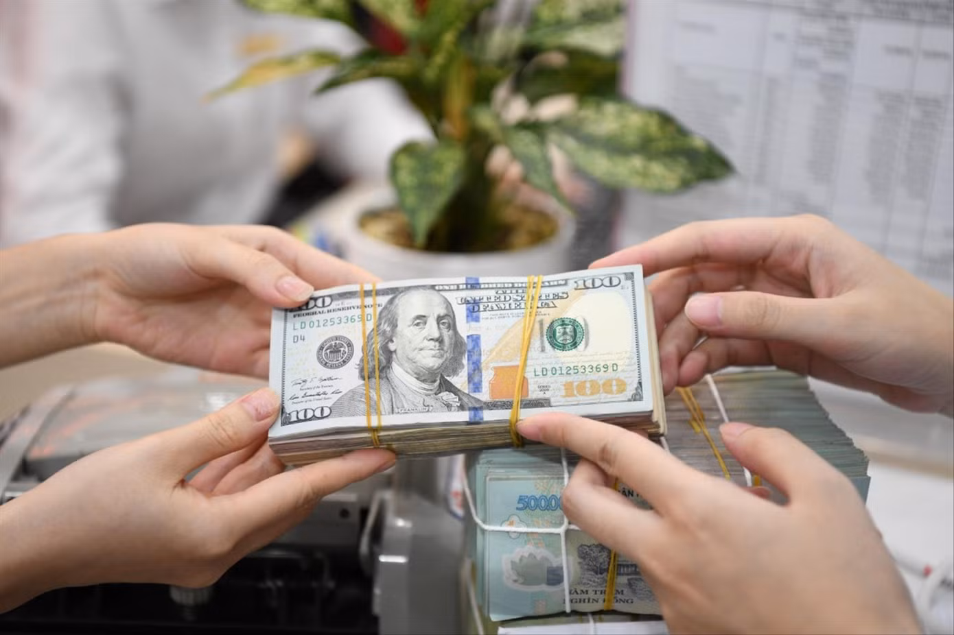 Tỷ giá tăng cao nhất từ trước đến nay. Ảnh: Như Ý Tỷ giá tăng cao nhất từ trước đến nay. Ảnh: Như Ý