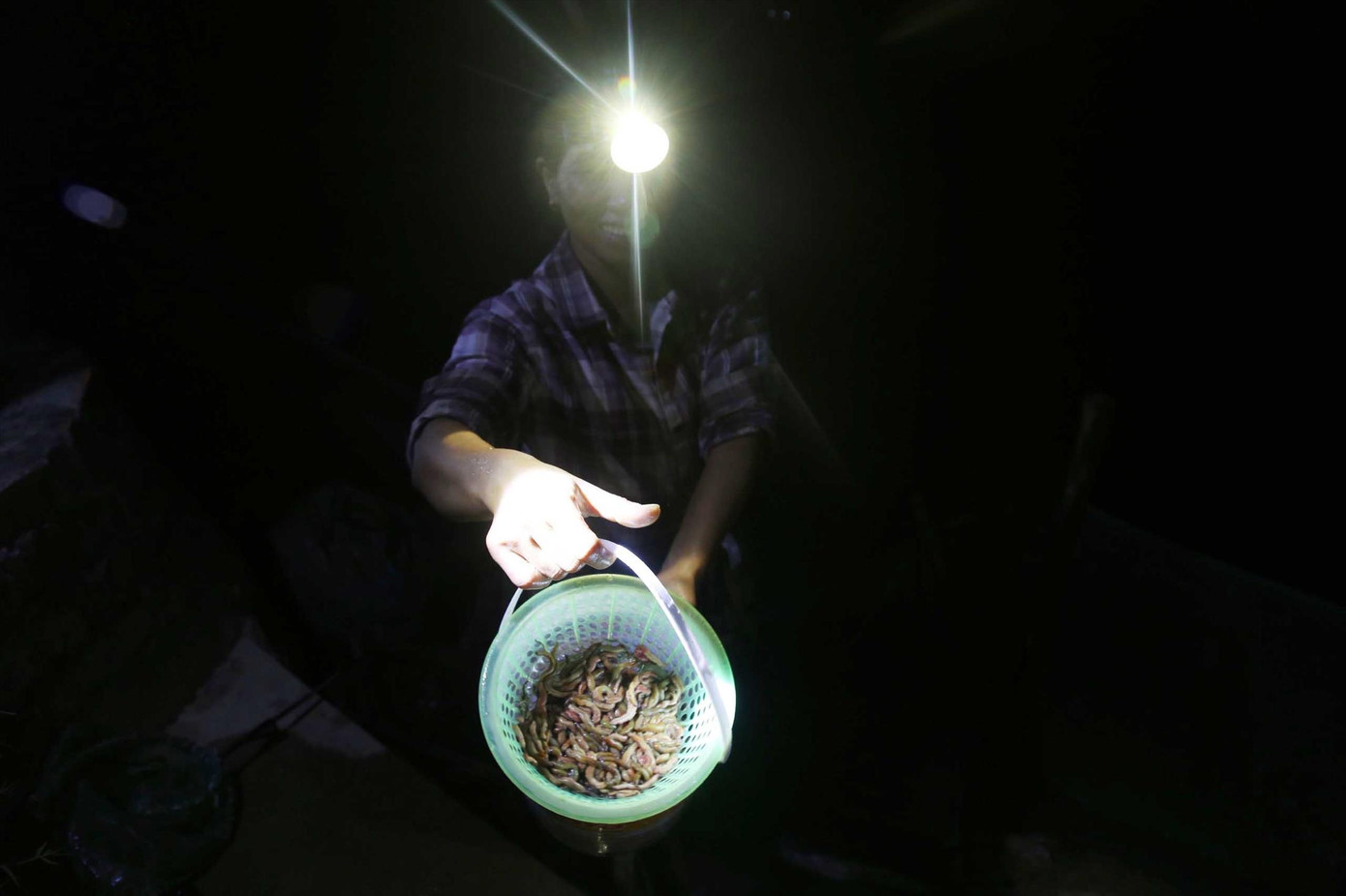 “Chiến lợi phẩm” sau một đêm dài lao động