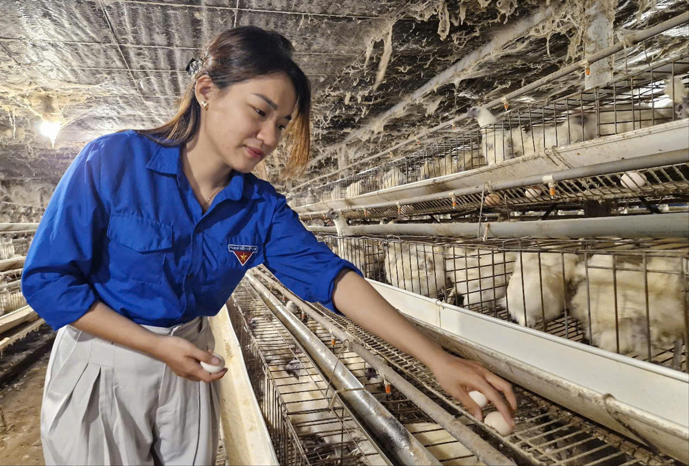 Chị Phạm Thị Nhân thành công với mô hình nuôi gà ác Chị Phạm Thị Nhân thành công với mô hình nuôi gà ác