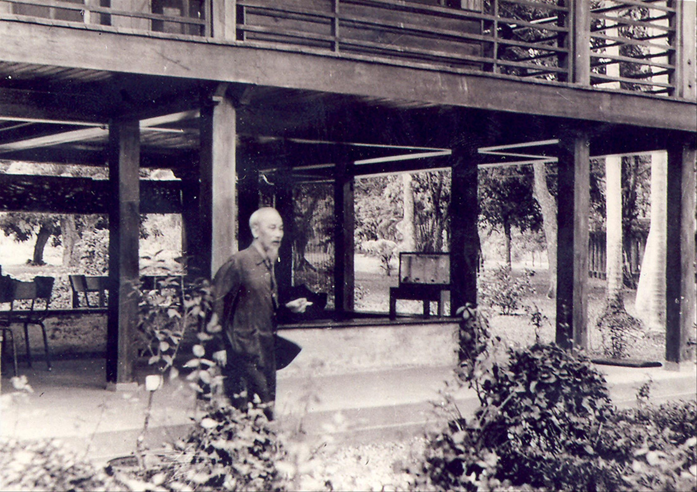 Bác Hồ bên ngôi Nhà sàn trong Phủ Chủ tịch. Ảnh: T.L Bác Hồ bên ngôi Nhà sàn trong Phủ Chủ tịch. Ảnh: T.L