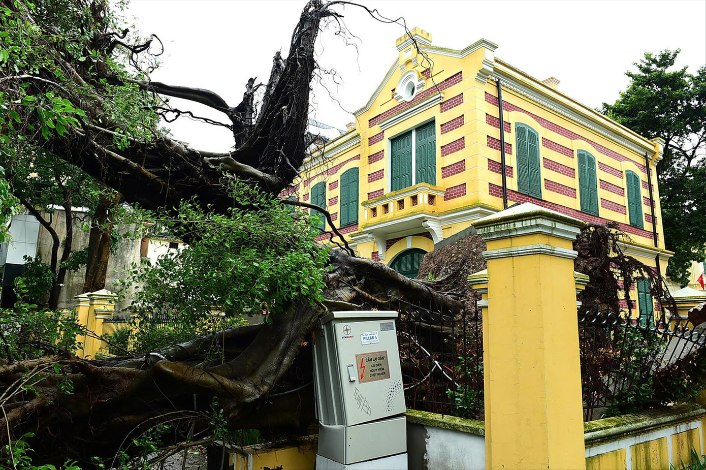 Cổ thụ gắn liền với biệt thự 49 Trần Hưng Đạo (Hoàn Kiếm, Hà Nội) bị bật gốc khiến một phần tường bao khu biệt thự biến dạng. Ảnh: XUÂN TÙNG Cổ thụ gắn liền với biệt thự 49 Trần Hưng Đạo (Hoàn Kiếm, Hà Nội) bị bật gốc khiến một phần tường bao khu biệt thự biến dạng. Ảnh: XUÂN TÙNG