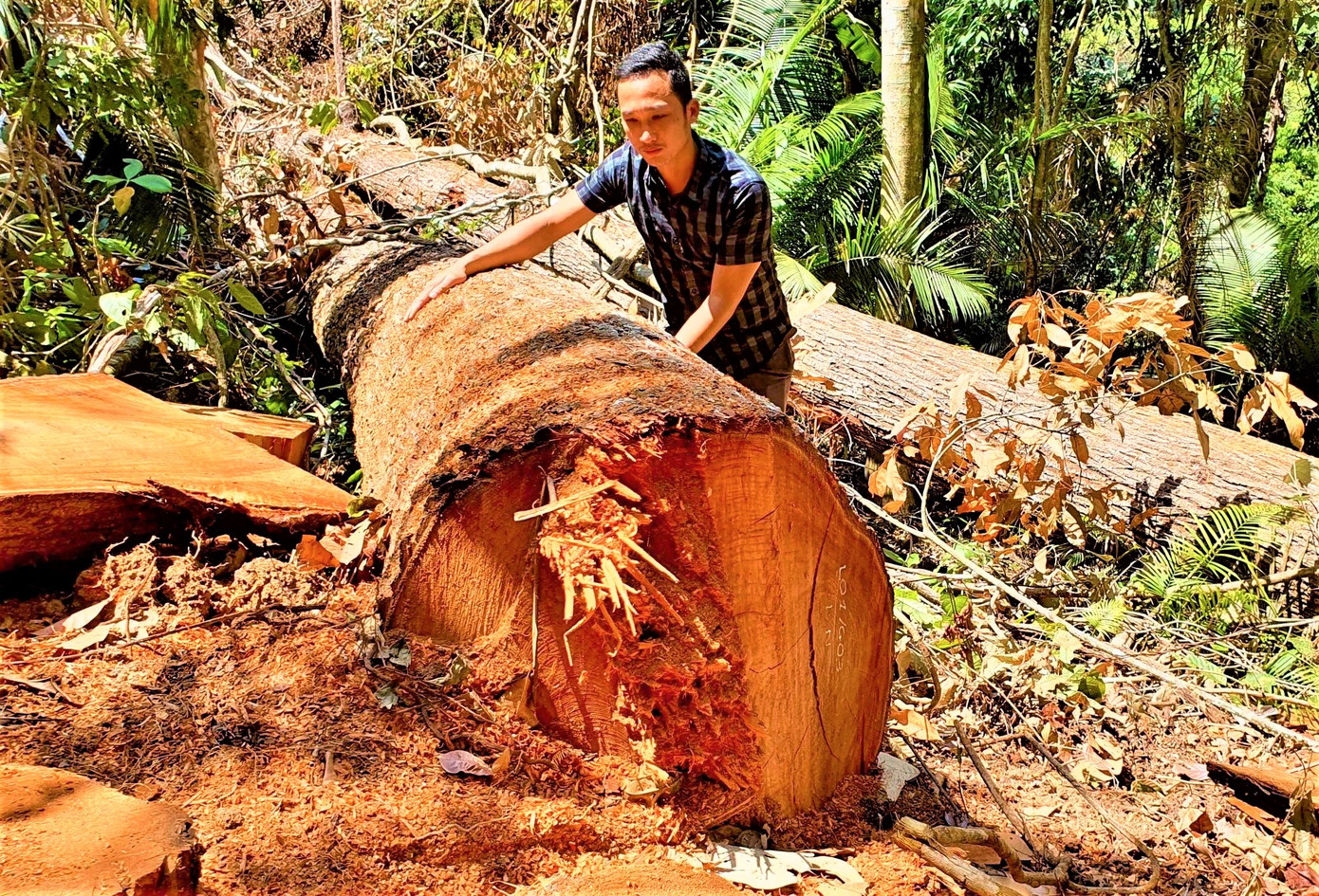 Phóng viên Tiền Phong trong lần tác nghiệp Phóng viên Tiền Phong trong lần tác nghiệp