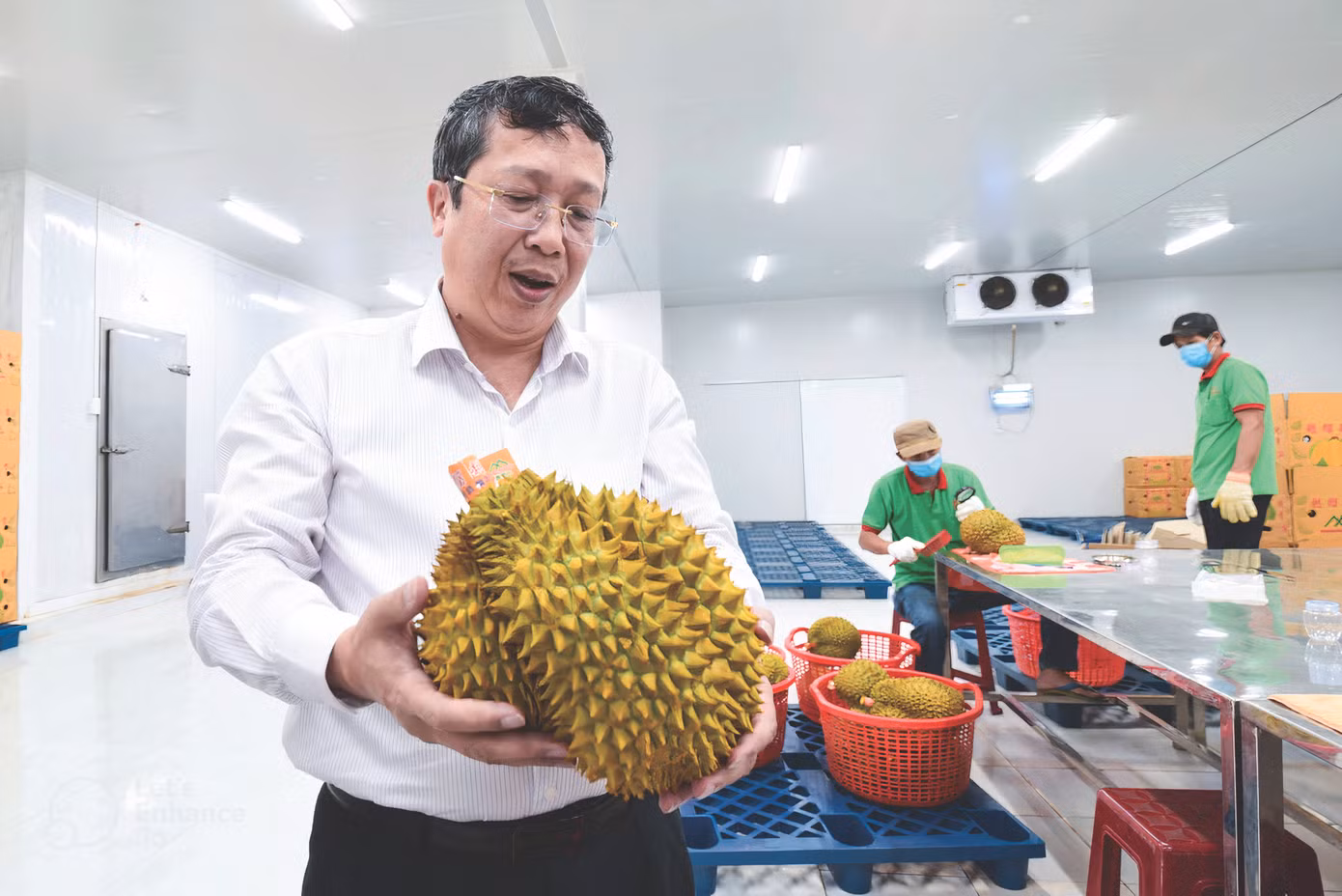 Thứ trưởng Bộ NN&PTNT Hoàng Trung cho biết, mở cửa được thị trường đã khó, giữ được và chiếm lĩnh thị trường còn khó hơn. Ảnh: Tùng Đinh Thứ trưởng Bộ NN&PTNT Hoàng Trung cho biết, mở cửa được thị trường đã khó, giữ được và chiếm lĩnh thị trường còn khó hơn. Ảnh: Tùng Đinh