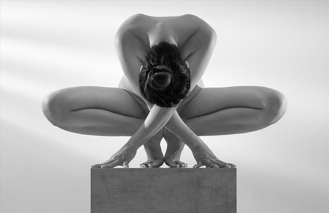 Tác phầm của Thái Phiên sẽ trưng bày tại triển lãm “Nắng sau rèm”: Cánh Bướm. Ảnh: Tác giả cung cấp Tác phầm của Thái Phiên sẽ trưng bày tại triển lãm “Nắng sau rèm”: Cánh Bướm. Ảnh: Tác giả cung cấp