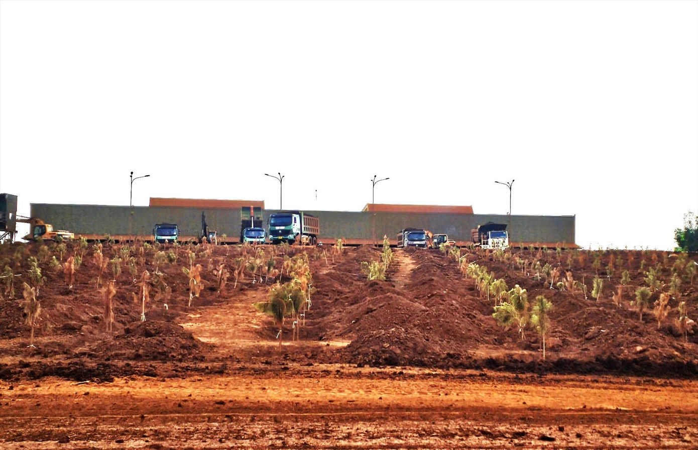 Việc trồng cây keo trên đất sau khai thác bô xít không hiệu quả