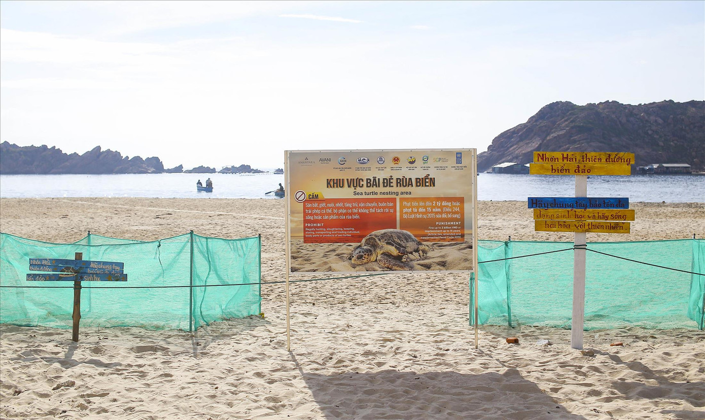 Xã Nhơn Hải khoanh vùng bãi đẻ cho rùa. Ảnh: Trương Định Xã Nhơn Hải khoanh vùng bãi đẻ cho rùa. Ảnh: Trương Định