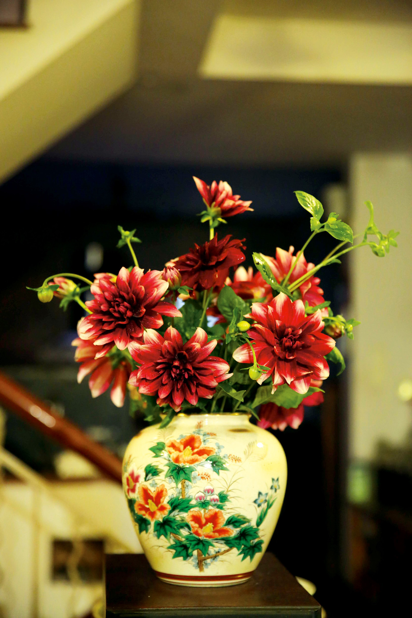 Vẻ đẹp của những bông hoa thược dược luôn khiến cho tất cả mọi người phải say mê và cuốn hút