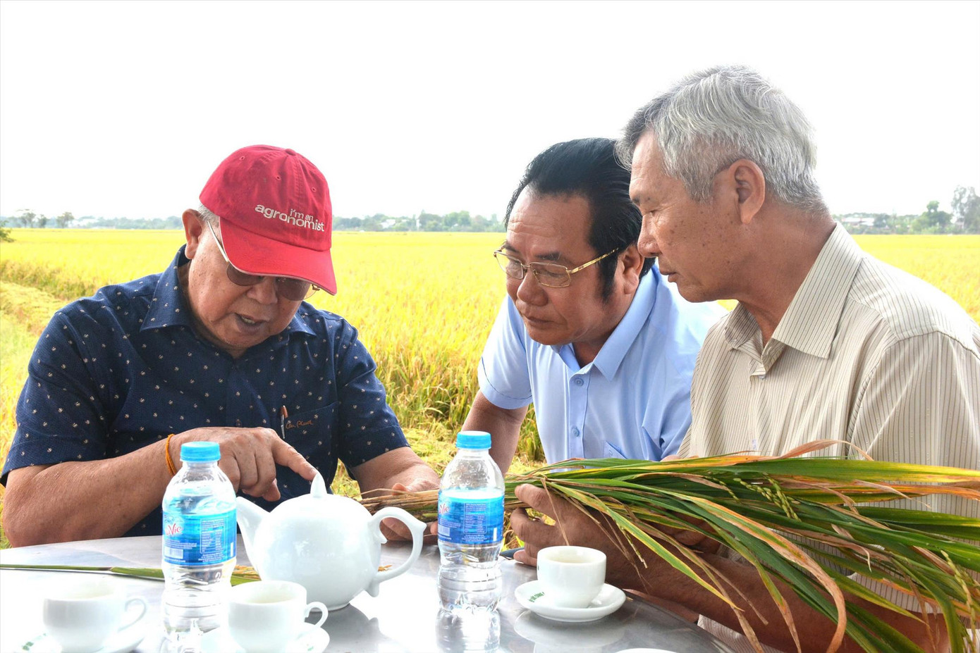 GS Võ Tòng Xuân (ngoài cùng bên trái) trò chuyện cùng nông dân, doanh nghiệp trong lần đi thăm đồng. Ảnh: H. VŨ GS Võ Tòng Xuân (ngoài cùng bên trái) trò chuyện cùng nông dân, doanh nghiệp trong lần đi thăm đồng. Ảnh: H. VŨ
