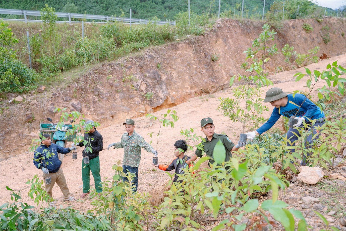 Bà con Cơ Tu ở thôn Tà Lang, Giàn Bí cùng dọn dẹp rừng cộng đồng hoang hóa để trồng cây gỗ lớn, phủ xanh đồi trọc Bà con Cơ Tu ở thôn Tà Lang, Giàn Bí cùng dọn dẹp rừng cộng đồng hoang hóa để trồng cây gỗ lớn, phủ xanh đồi trọc