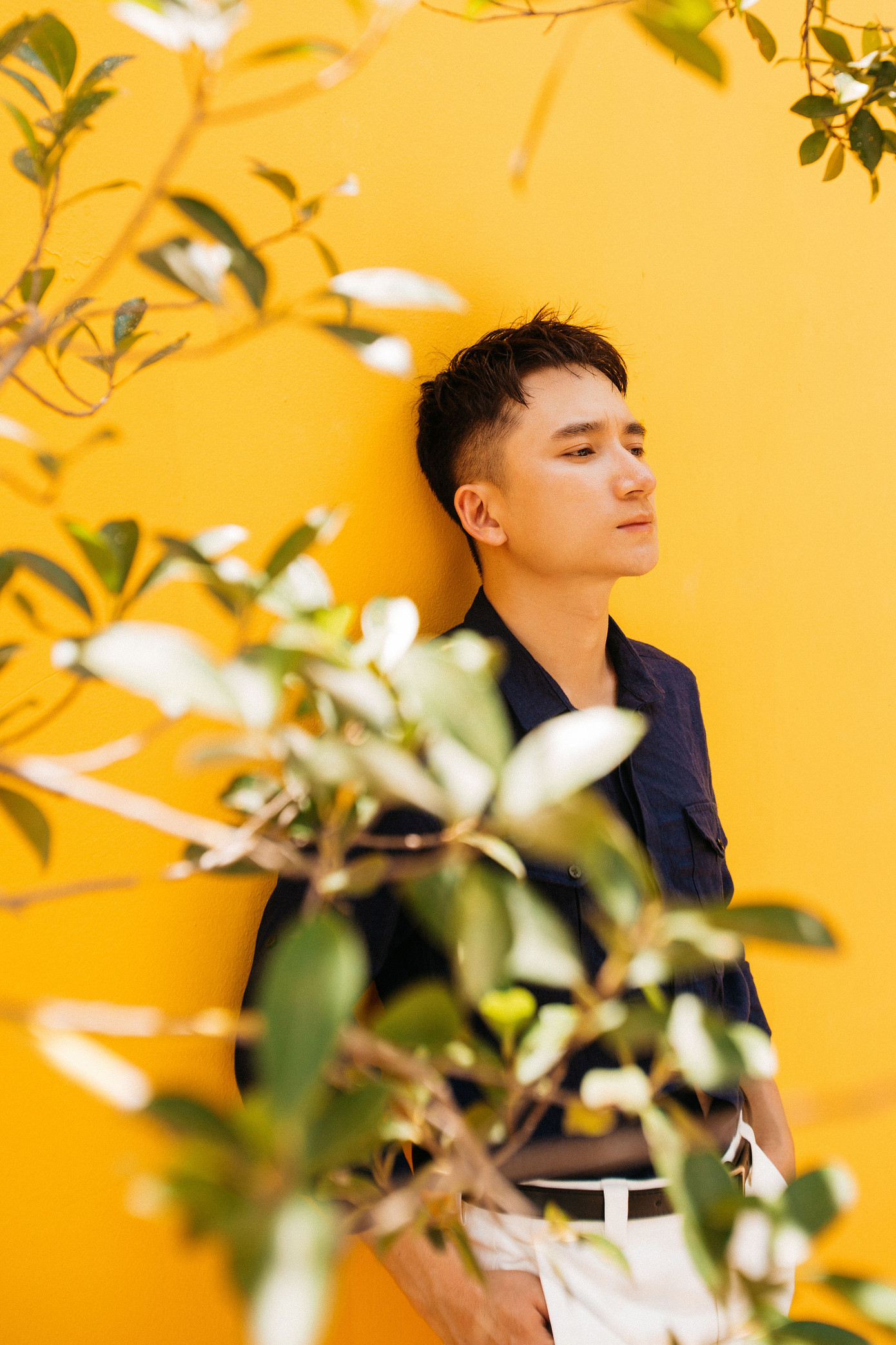 Nhạc sĩ, ca sĩ Phan Mạnh Quỳnh