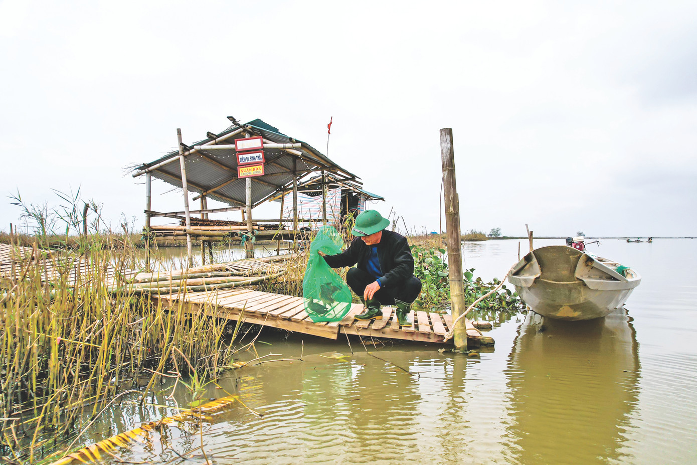 Ông Xuân thường mua chim bán ở chợ về thả trong vườn chim của mình Ông Xuân thường mua chim bán ở chợ về thả trong vườn chim của mình