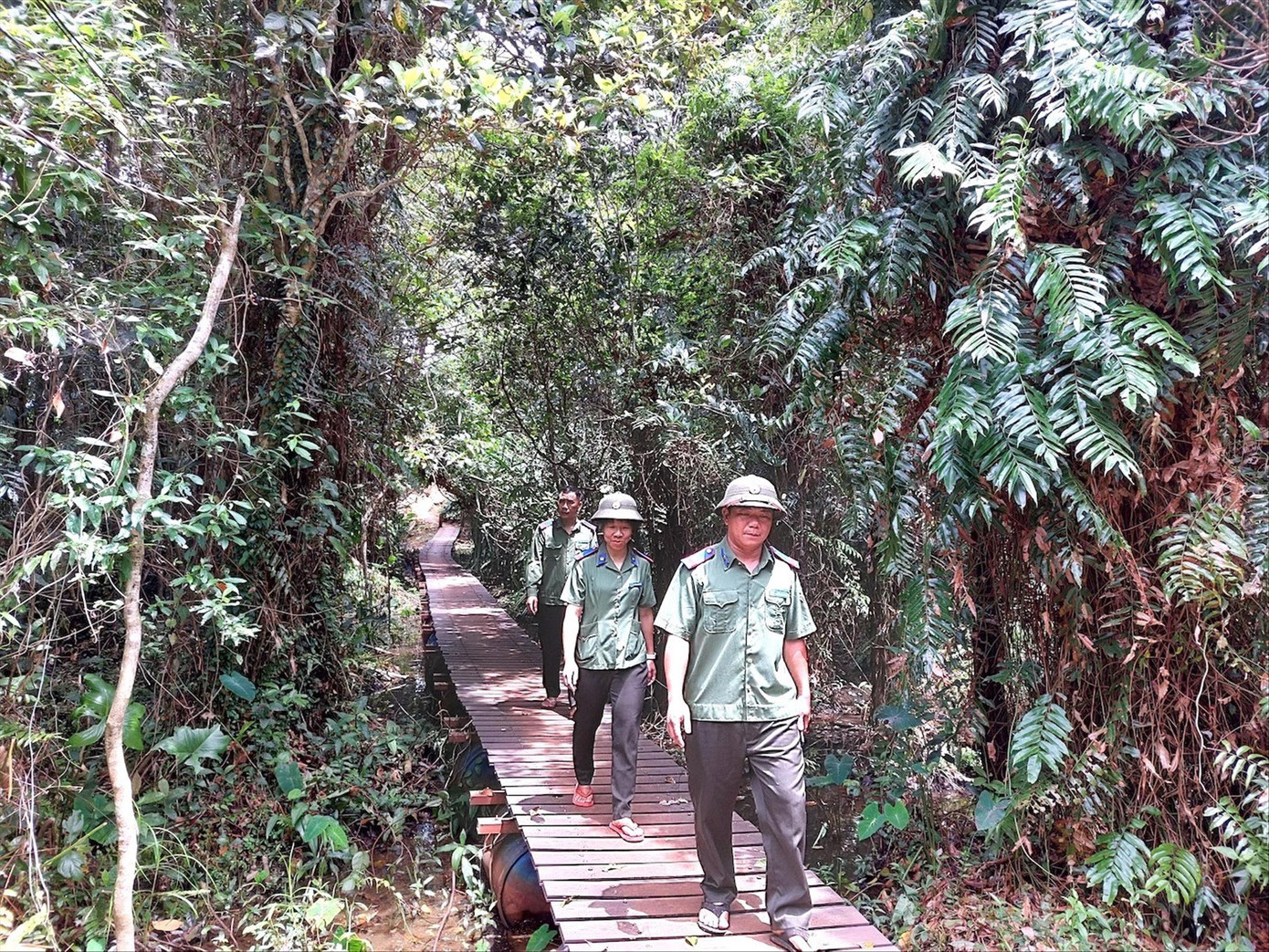 Lực lượng bảo vệ rừng đi tuần tra