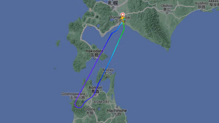 Hành trình của chuyến bay 1182 của All Nippon Airways phải tạm dừng ngày 13/1.