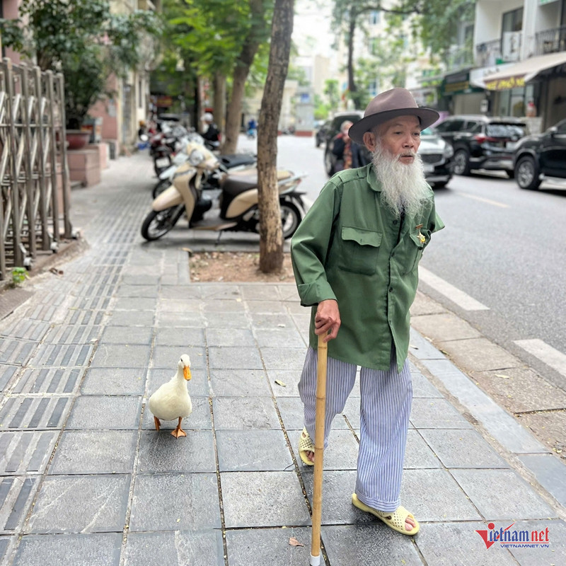 Chú vịt trắng gắn bó với ông Quang hơn 7 tháng qua