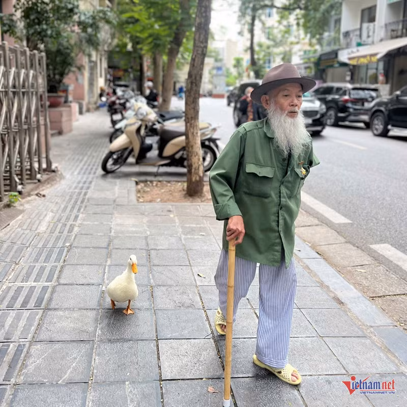 Chú vịt trắng gắn bó với ông Quang hơn 7 tháng qua Chú vịt trắng gắn bó với ông Quang hơn 7 tháng qua