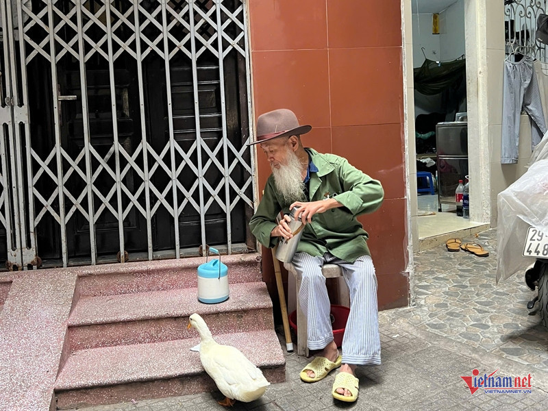 Ông Quang nuôi chú vịt từ khi nó vừa mới nở