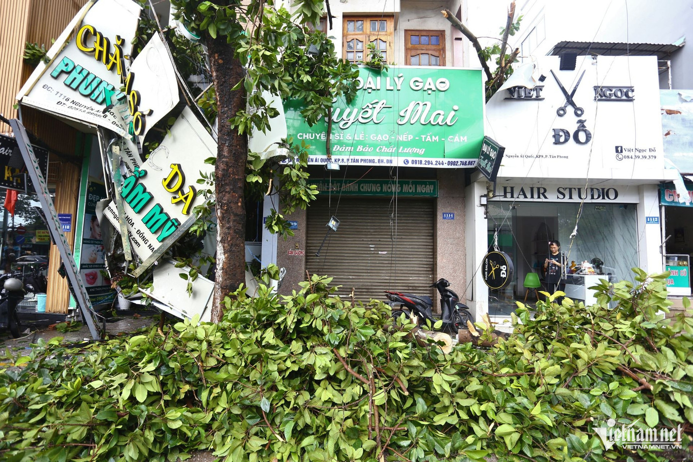 Không chỉ có đường phố, mà ngay trong khuôn viên Bệnh viện Quân y 7B, hơn 10 cây xanh cũng bị bật gốc, đổ vào các tòa nhà.