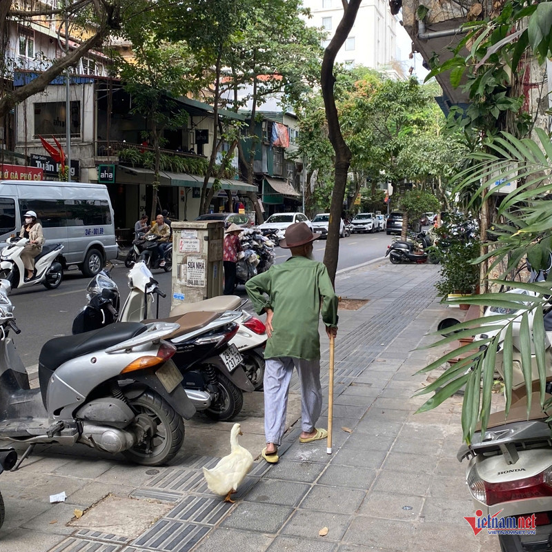 Hình ảnh dễ thương thu hút sự quan tâm của cộng đồng mạng