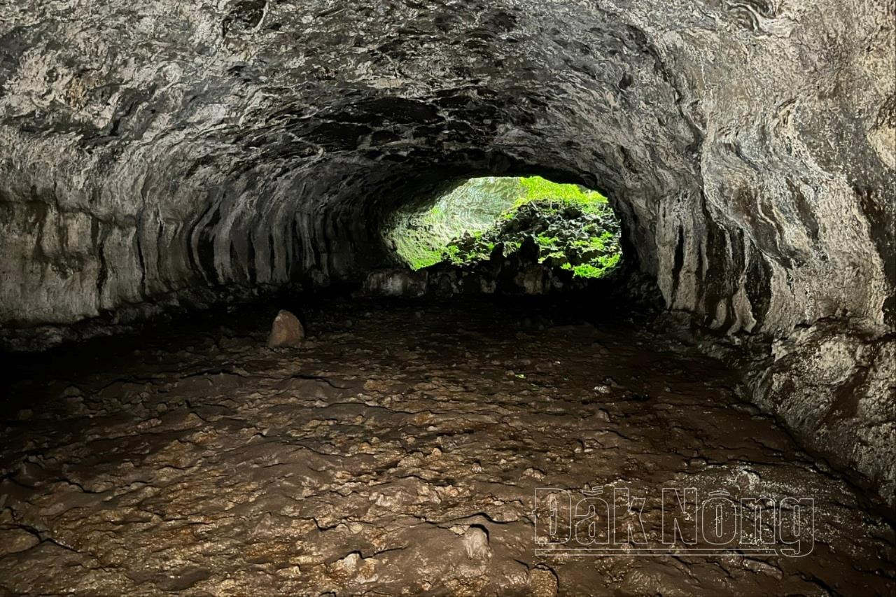 Lòng hang khá rộng, nền khá bằng phẳng và trần hang khá chắc chắn Lòng hang khá rộng, nền khá bằng phẳng và trần hang khá chắc chắn
