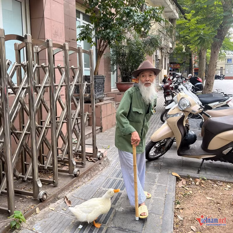 Có chú vịt bầu bạn, ông Quang thấy vui hơn Có chú vịt bầu bạn, ông Quang thấy vui hơn