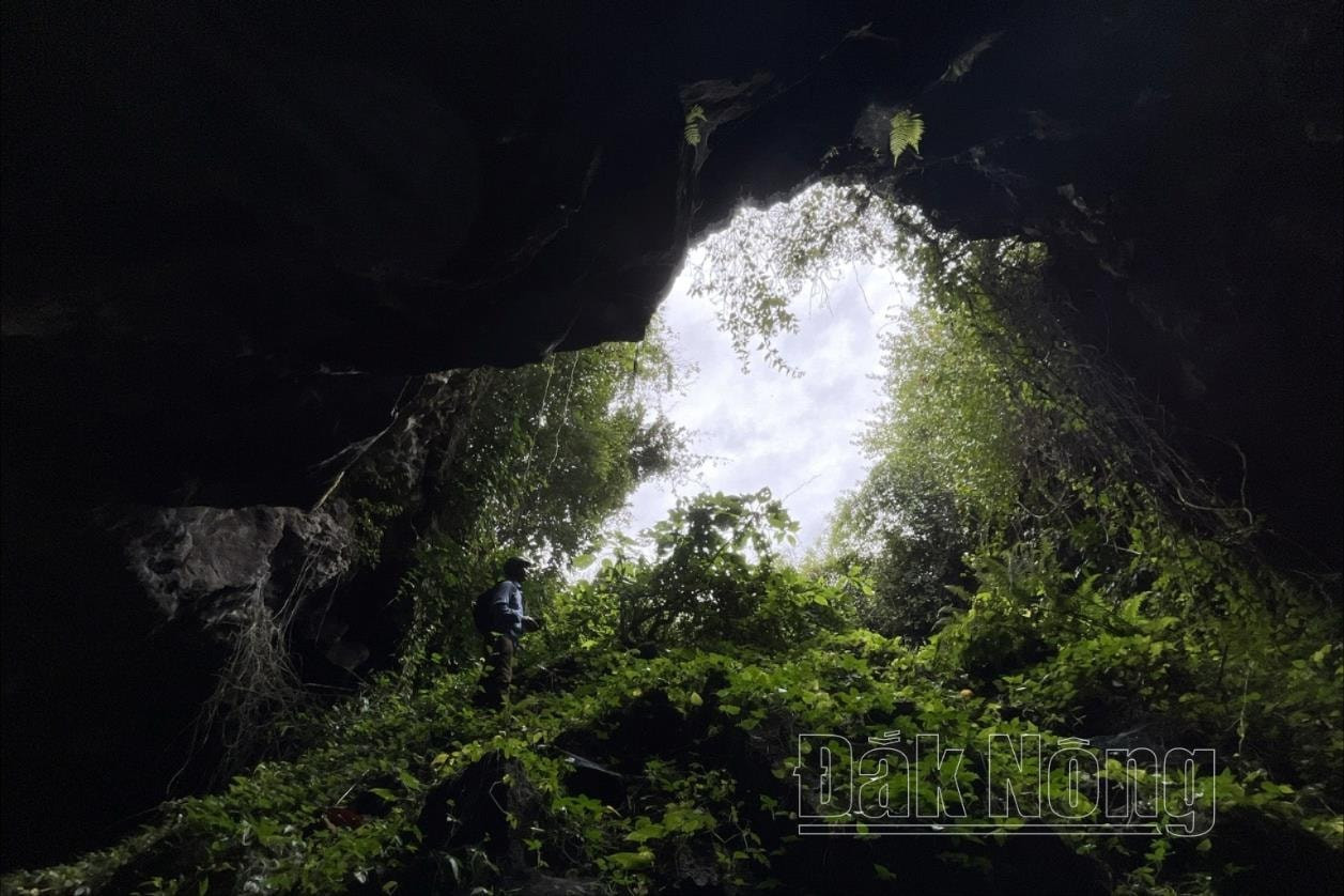 Quang cảnh hướng ra cửa hang Quang cảnh hướng ra cửa hang