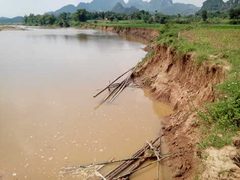 Ruộng của người dân bị sạt lở nghiêm trọng do vàng tặc hoành hành. Ruộng của người dân bị sạt lở nghiêm trọng do vàng tặc hoành hành