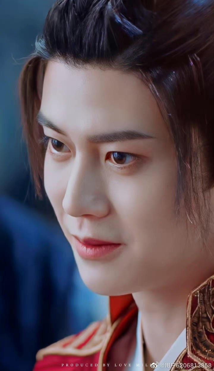 Nhan sắc của Nhậm Gia Luân bị nhiều người xem cho rằng bị đoàn làm phim &quot;dìm hàng&quot; khiến cho anh trở nên kém sắc hơn nhiều so với ngoài đời.