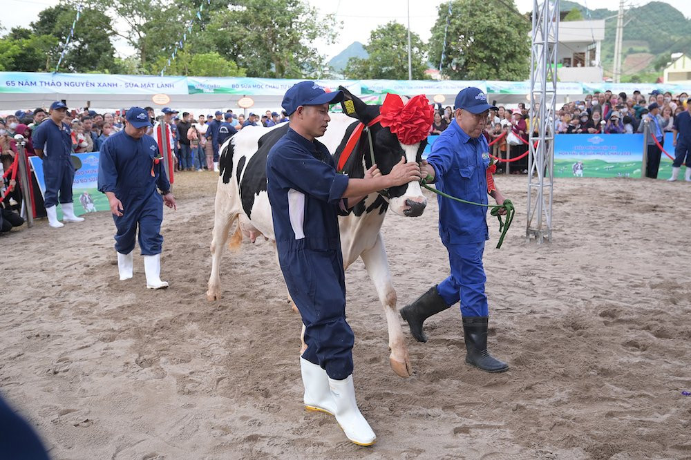 Màn trình diễn của các "thí sinh" tại Hội thi