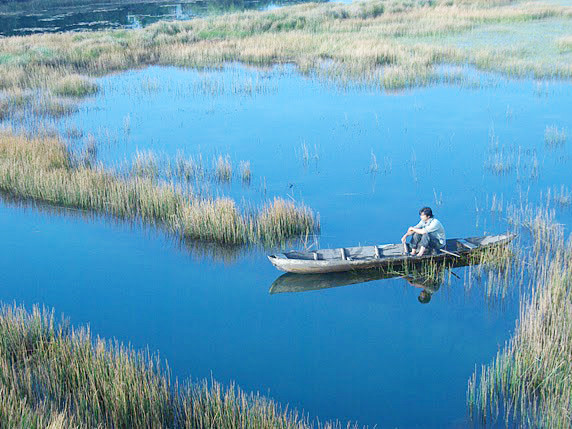 Với ông Võ, những chuyện buồn không thể vơi