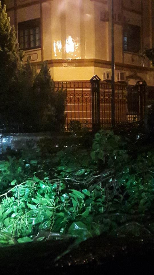 NÓNG: Bão số 2 đổ bộ Nghệ An - Hà Tĩnh, cây cối đổ ngổn ngang ảnh 4