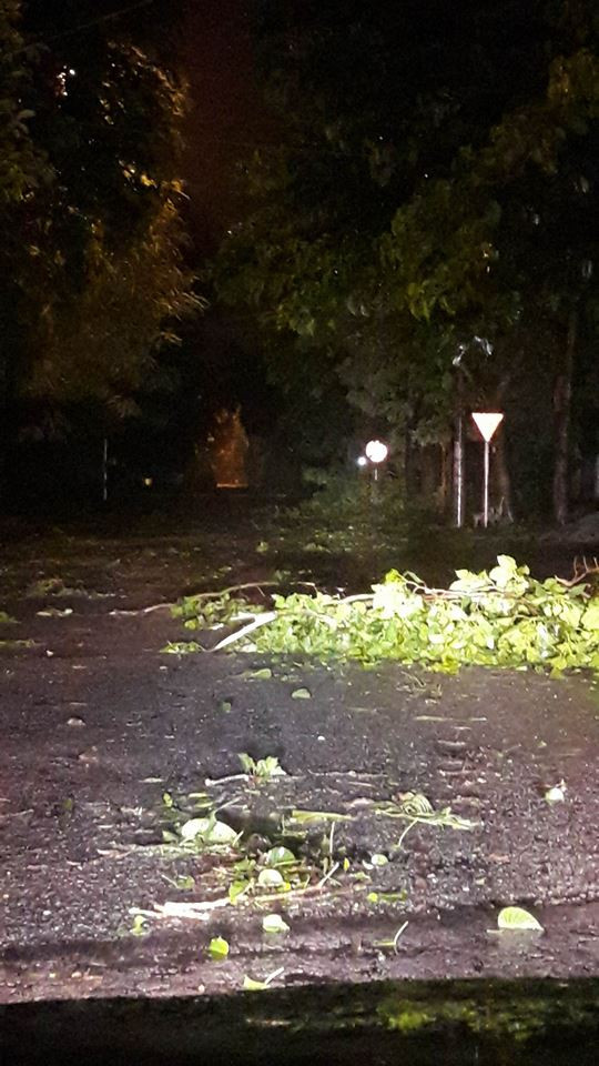 NÓNG: Bão số 2 đổ bộ Nghệ An - Hà Tĩnh, cây cối đổ ngổn ngang ảnh 2