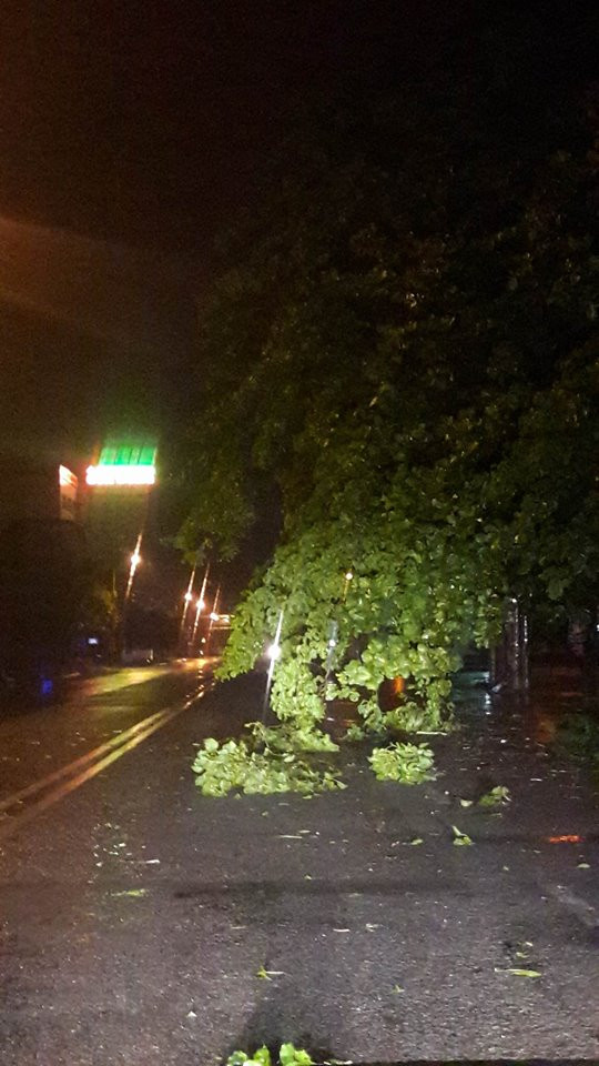 NÓNG: Bão số 2 đổ bộ Nghệ An - Hà Tĩnh, cây cối đổ ngổn ngang ảnh 5