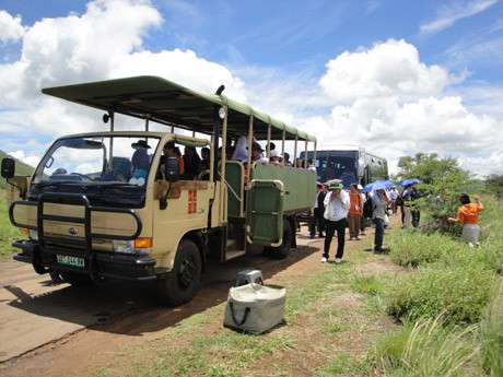 Khách du lịch nước ngoài muốn đi xem tê giác phải ngồi trên những chiếc xe chuyên dụng thế này để đảm bảo an toàn. Ảnh: T.Đ