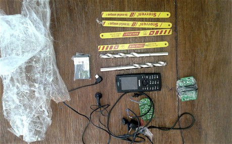 Các dụng cụ được dán dưới bụng mèo