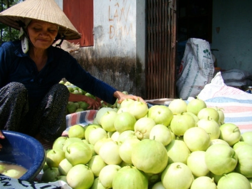 Mẹo chọn dưa ngon không lo ngộ độc ảnh 2