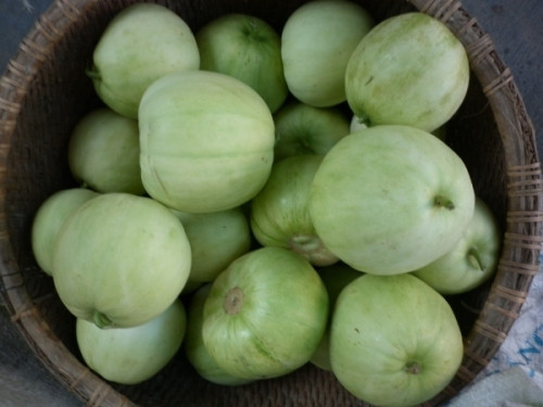 Mẹo chọn dưa ngon không lo ngộ độc ảnh 1