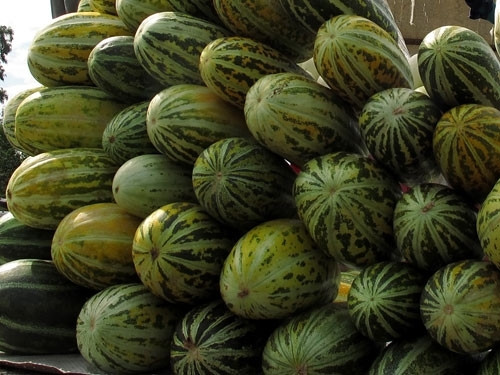 Mẹo chọn dưa ngon không lo ngộ độc ảnh 3