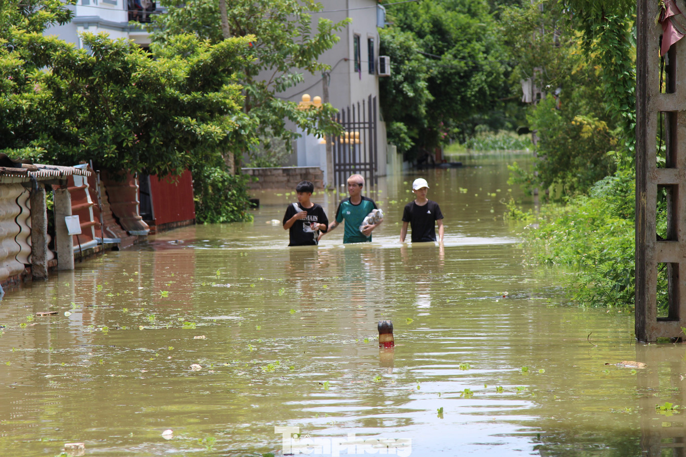 Thôn Tiến Tiên (xã Tân Tiến, huyện Chương Mỹ) bị ngập sâu trong nước. Thôn Tiến Tiên (xã Tân Tiến, huyện Chương Mỹ) bị ngập sâu trong nước.