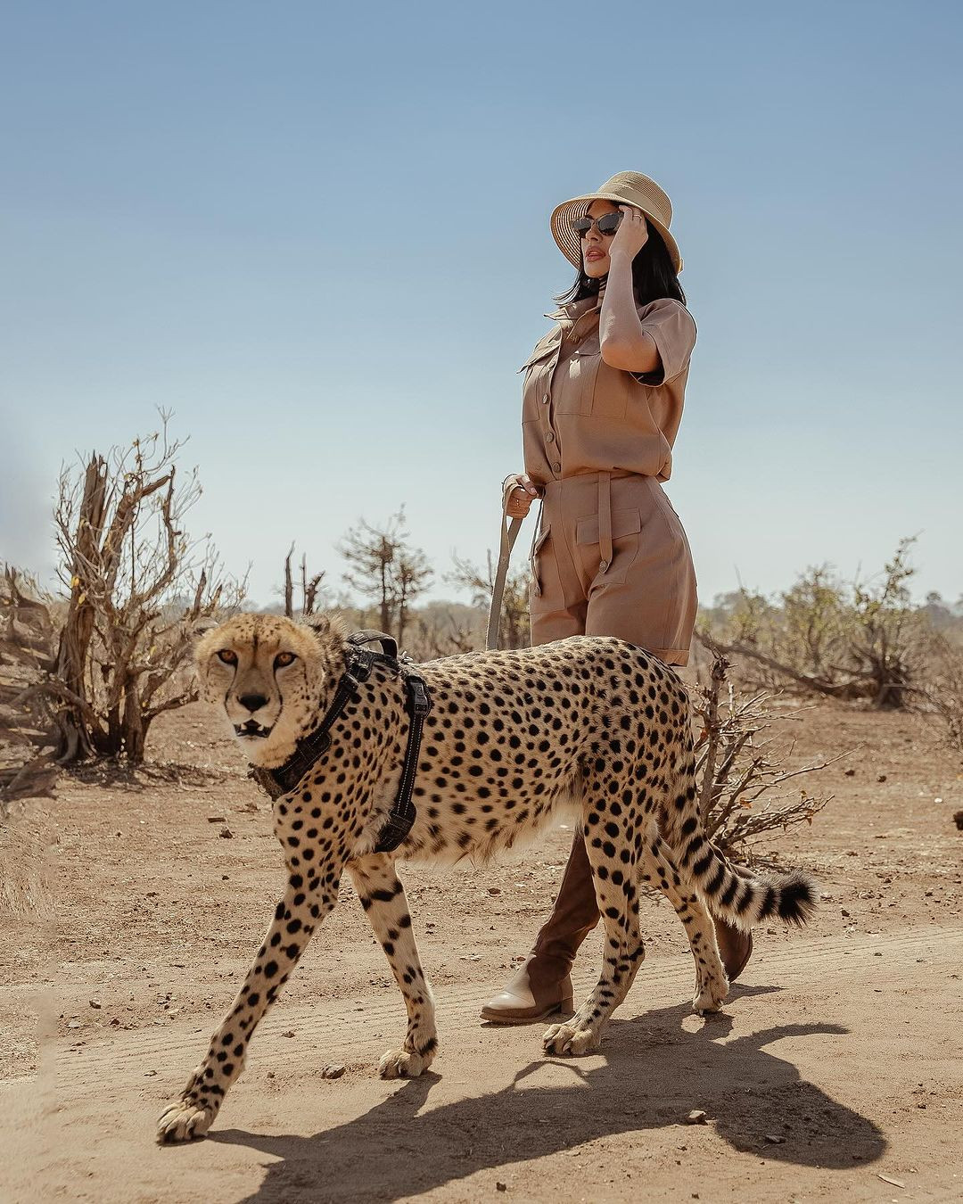 Hoa hậu Hoàn vũ 2023 Sheynnis Palacios chụp ảnh cùng báo săn cheetah trong chuyến công tác tại Zimbabwe.